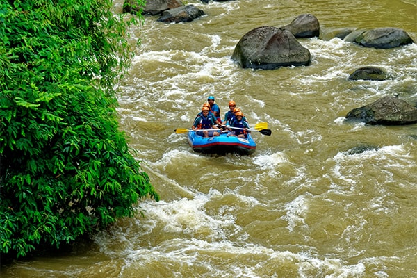 Malaysia Tour Package - Petronas Towers, Rainforests, Culinary